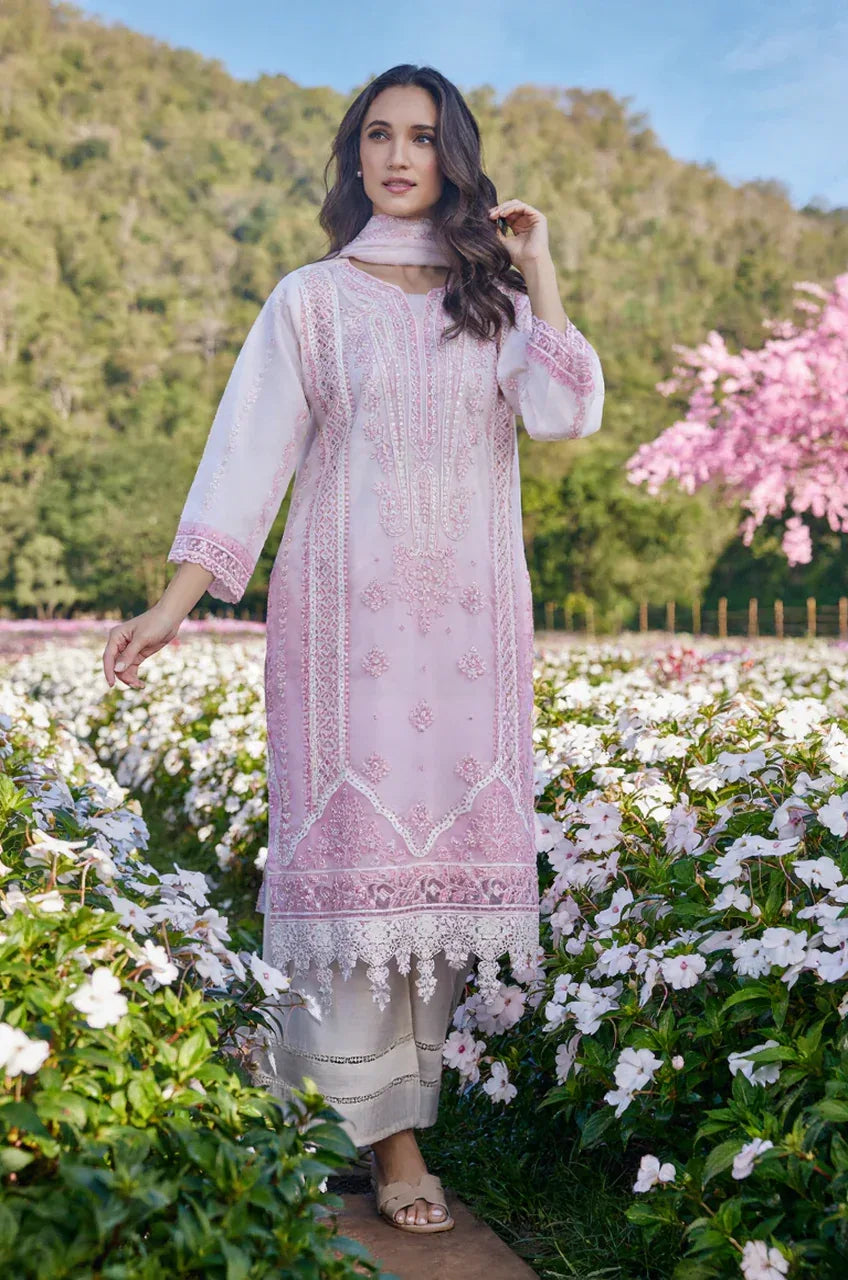 Blush Gulnaar Embroidered Kurta Set - MishUUU