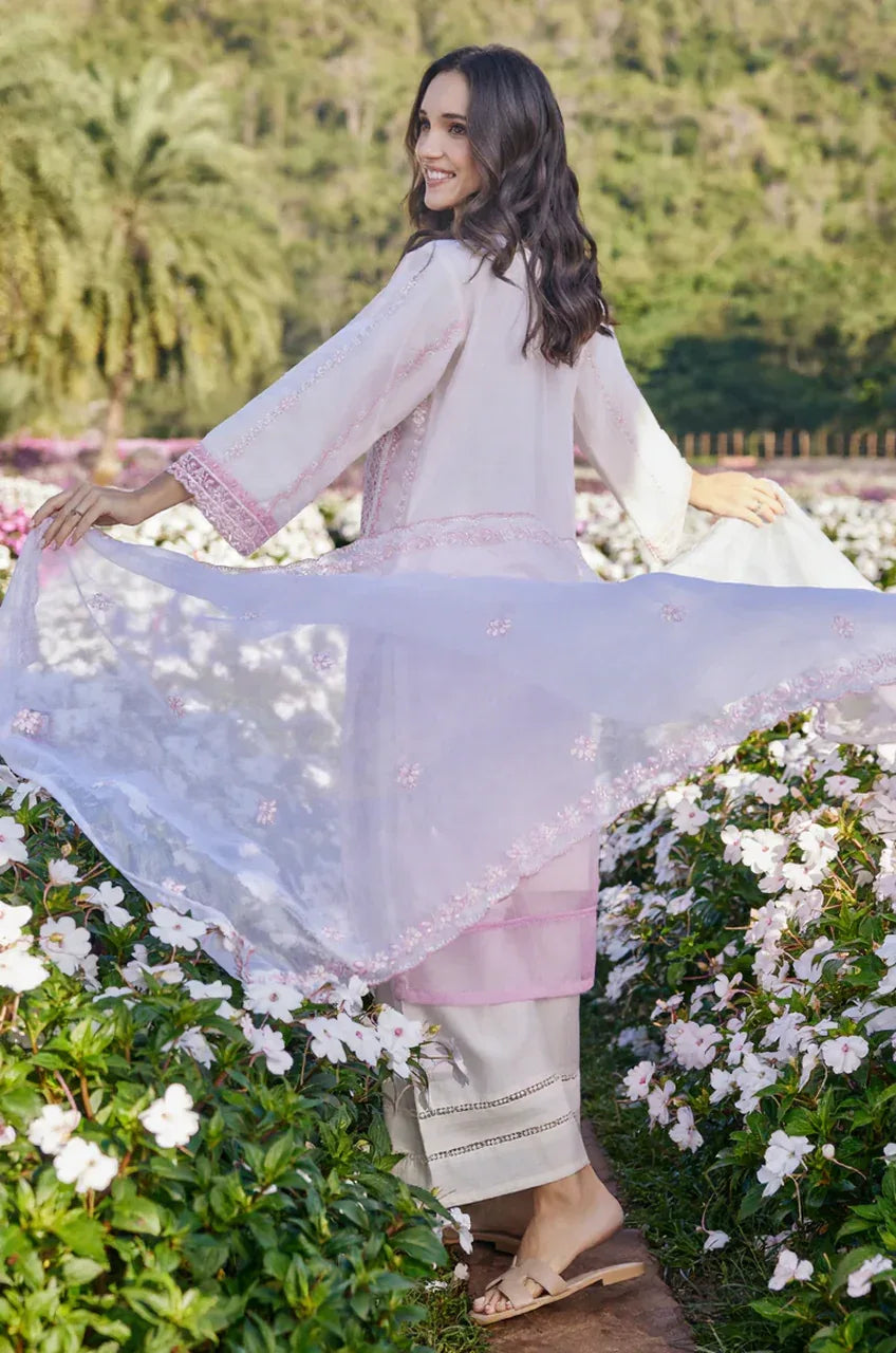 Blush Gulnaar Embroidered Kurta Set - MishUUU