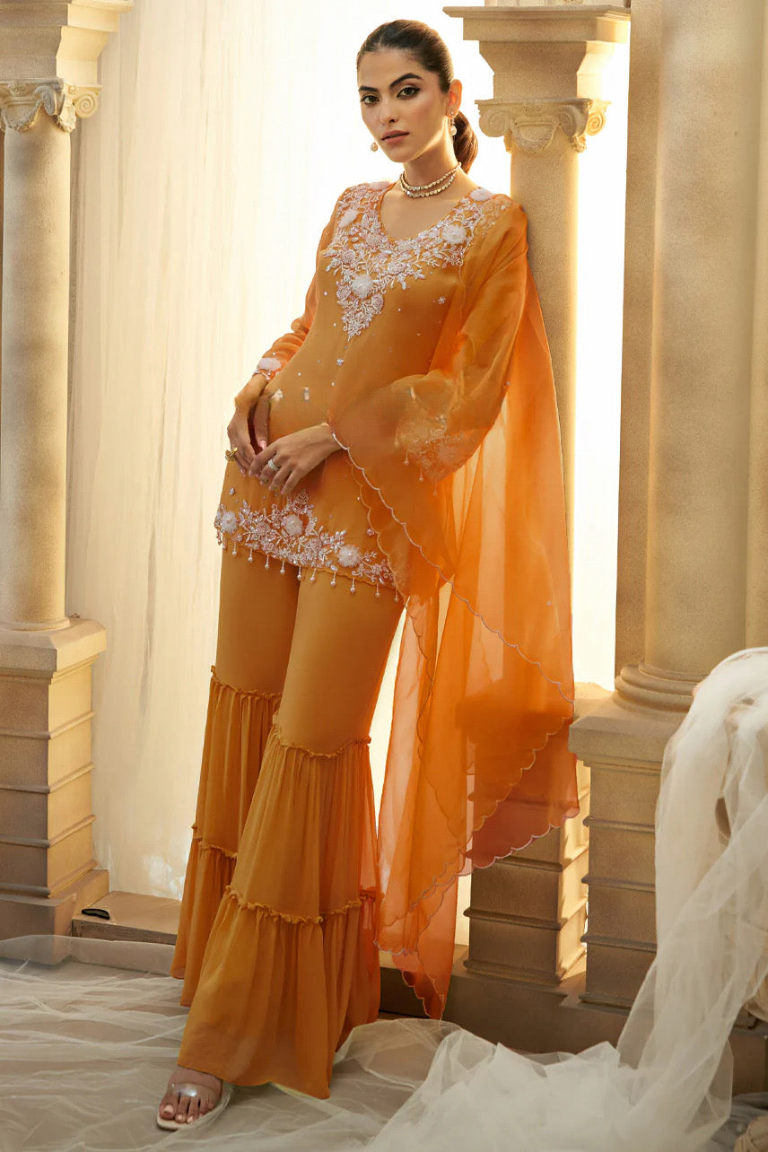 Burnt Orange Embroidered Sharara Set |Label S4U