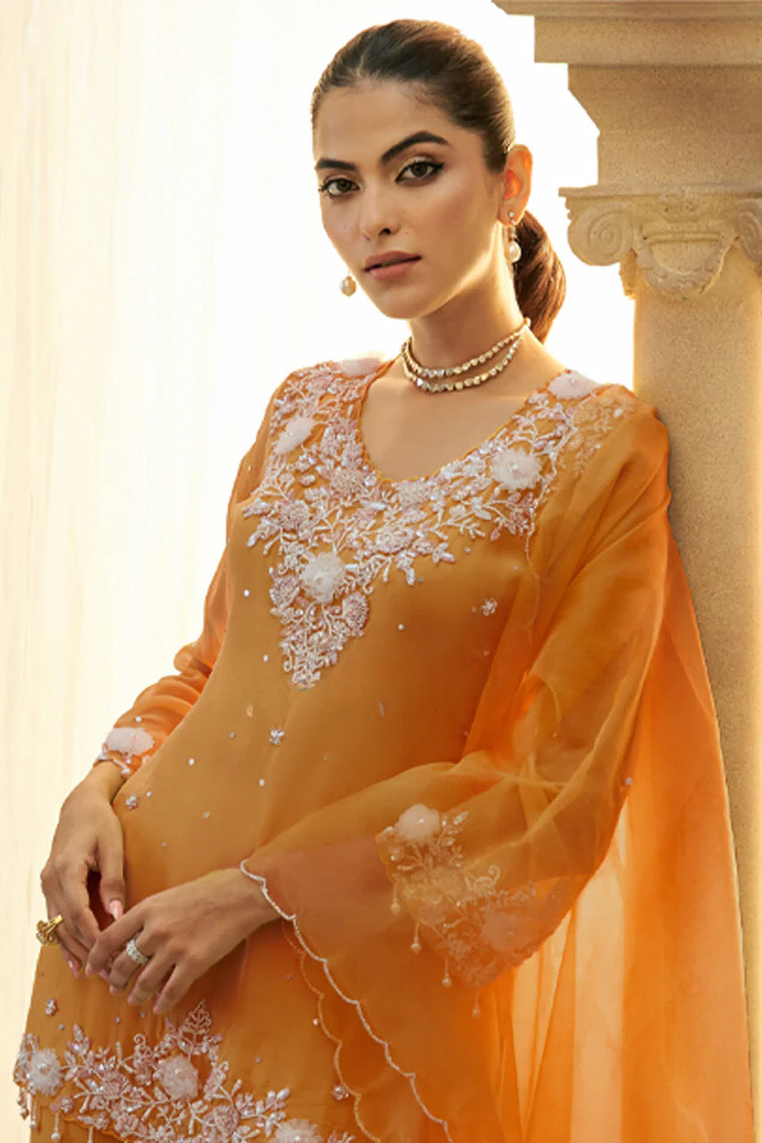 Burnt Orange Embroidered Sharara Set |Label S4U