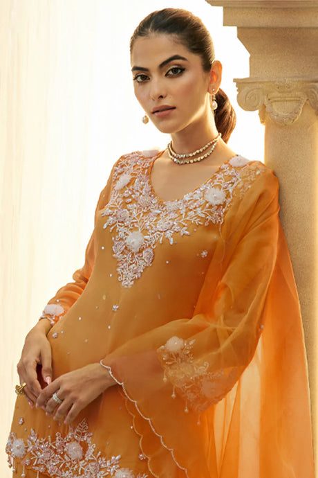 Burnt Orange Embroidered Sharara Set |Label S4U