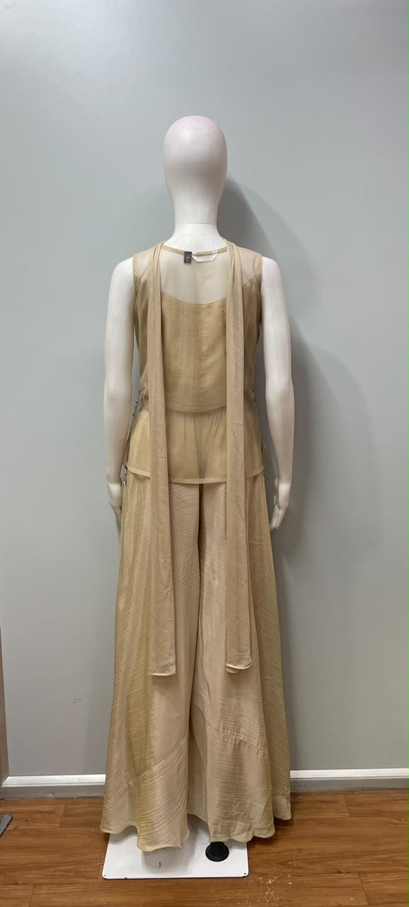 Champagne Gold Mirrorwork Palazzo Dupatta Set
