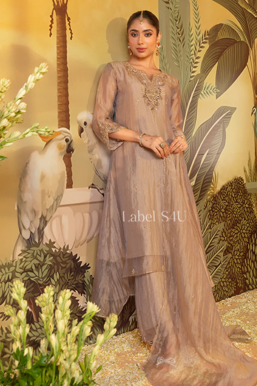 Mocha Mist Organza Ensemble - Label S4U