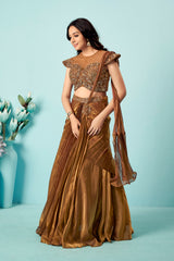 Antique Bronze Pre-Draped Saree Gown with Embellished Blouse