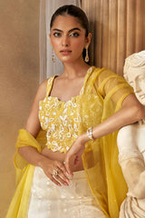 Yellow Dilruba Set