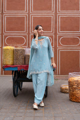 Full-length view of a powder blue embroidered salwar suit set