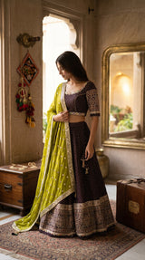 Chocolate Lime Mirror Lehenga Set
