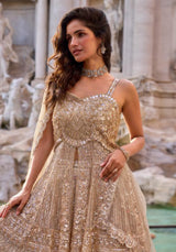 Champagne Blush Crystal Embroidered Lehenga Set