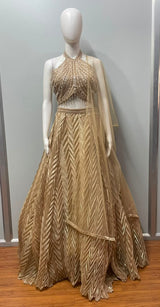 Champagne shimmer lehenga photographed against a plain backdrop