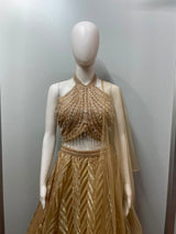 Back view of a champagne shimmer halter lehenga skirt and blouse