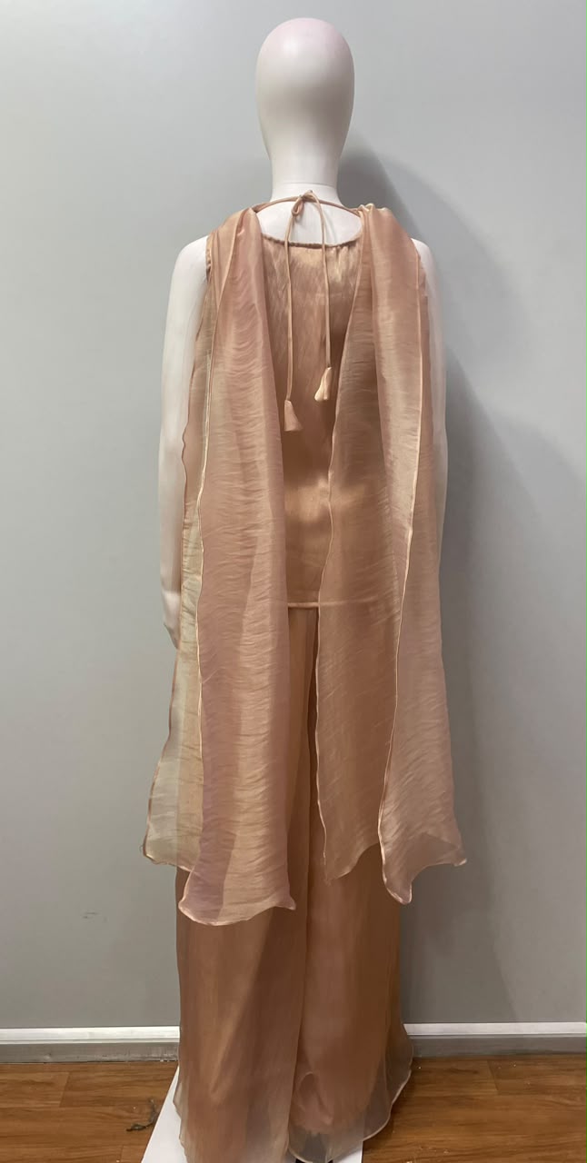 Peach Gold Jewel Palazzo Set