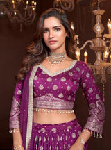Plum Silver Zari Festive Lehenga Ensemble