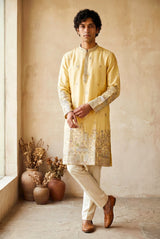 Mustard Gold Heritage Kurta Set