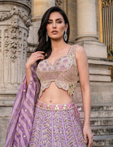 Lavender Green Mirror Work Lehenga Ensemble