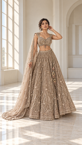 Champagne Taupe Silver Jewel Lehenga Set