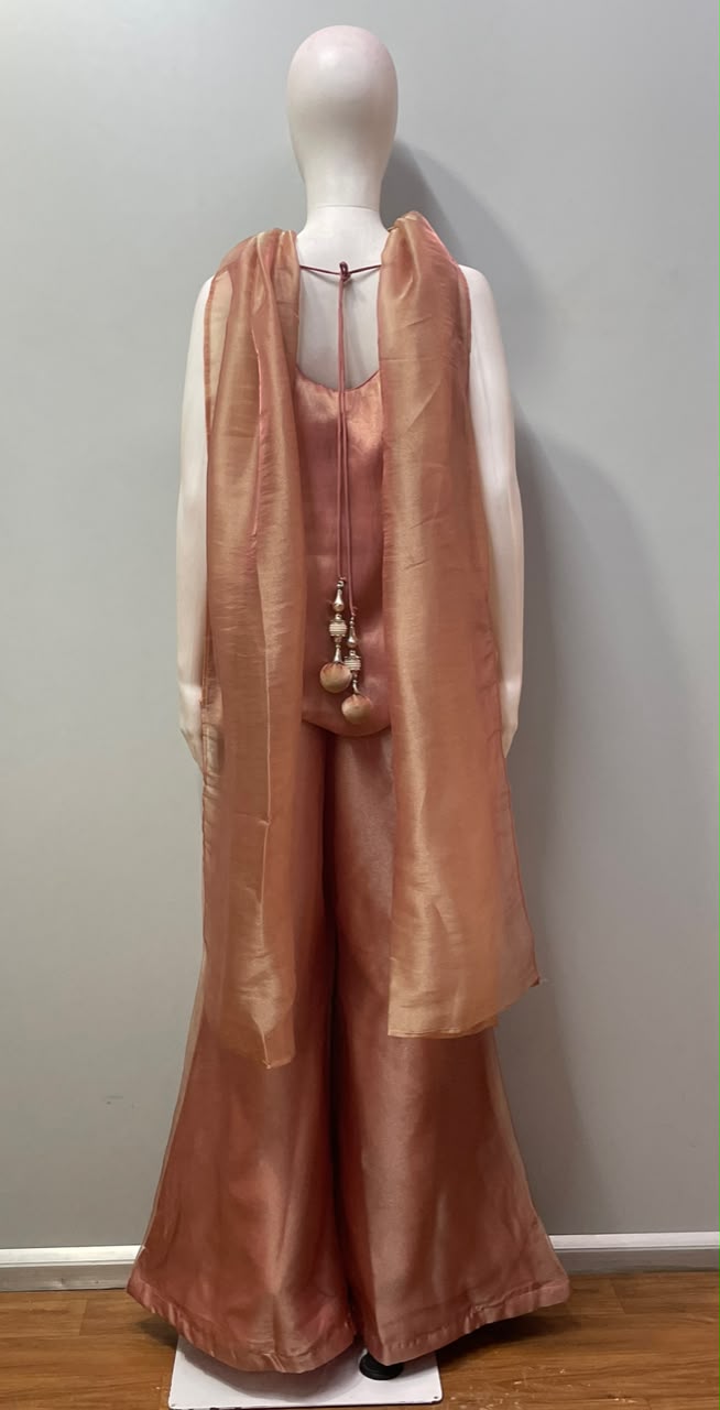 Dusty Peach Antique Gold Jewel Palazzo Set